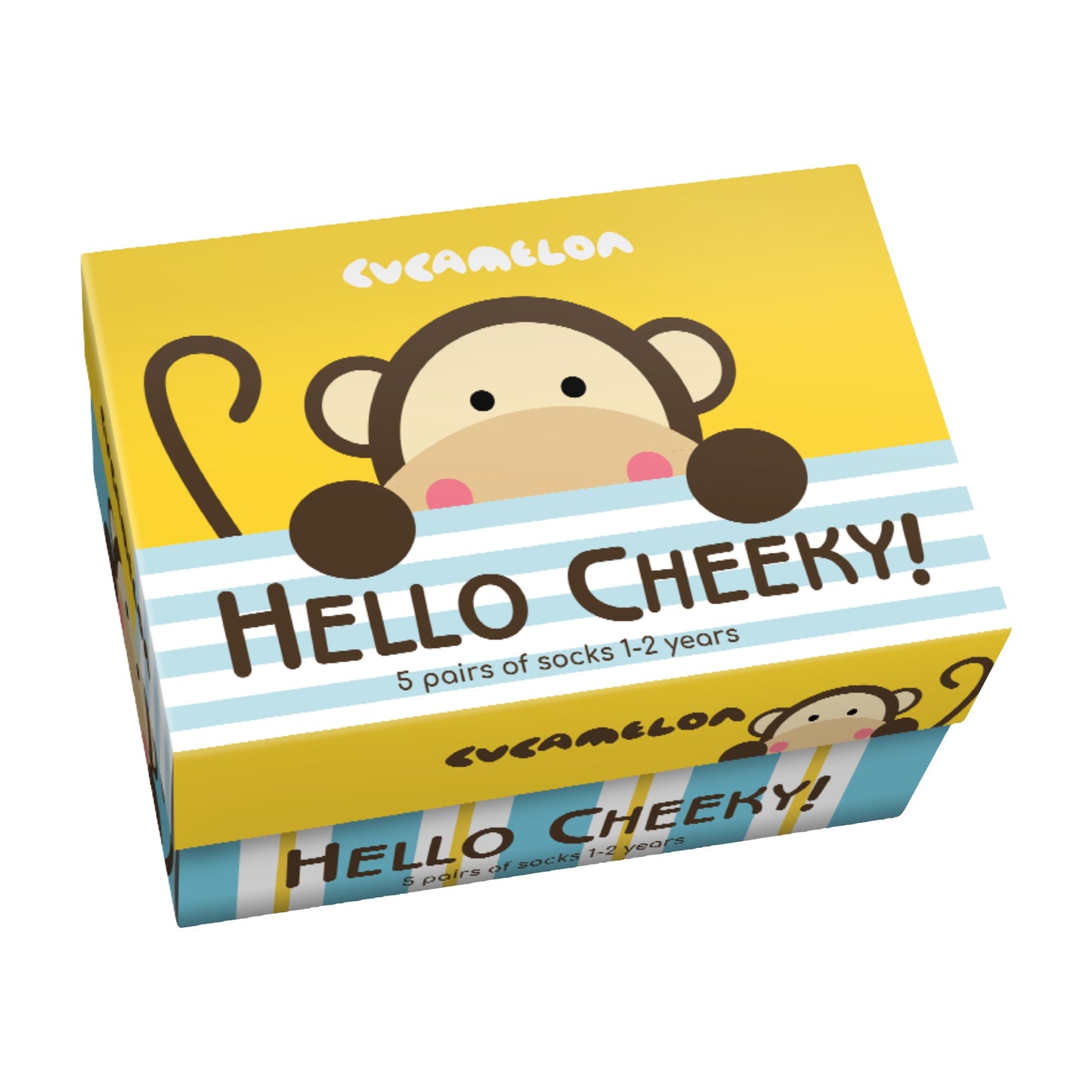Cheeky Monkey Sock Gift Box