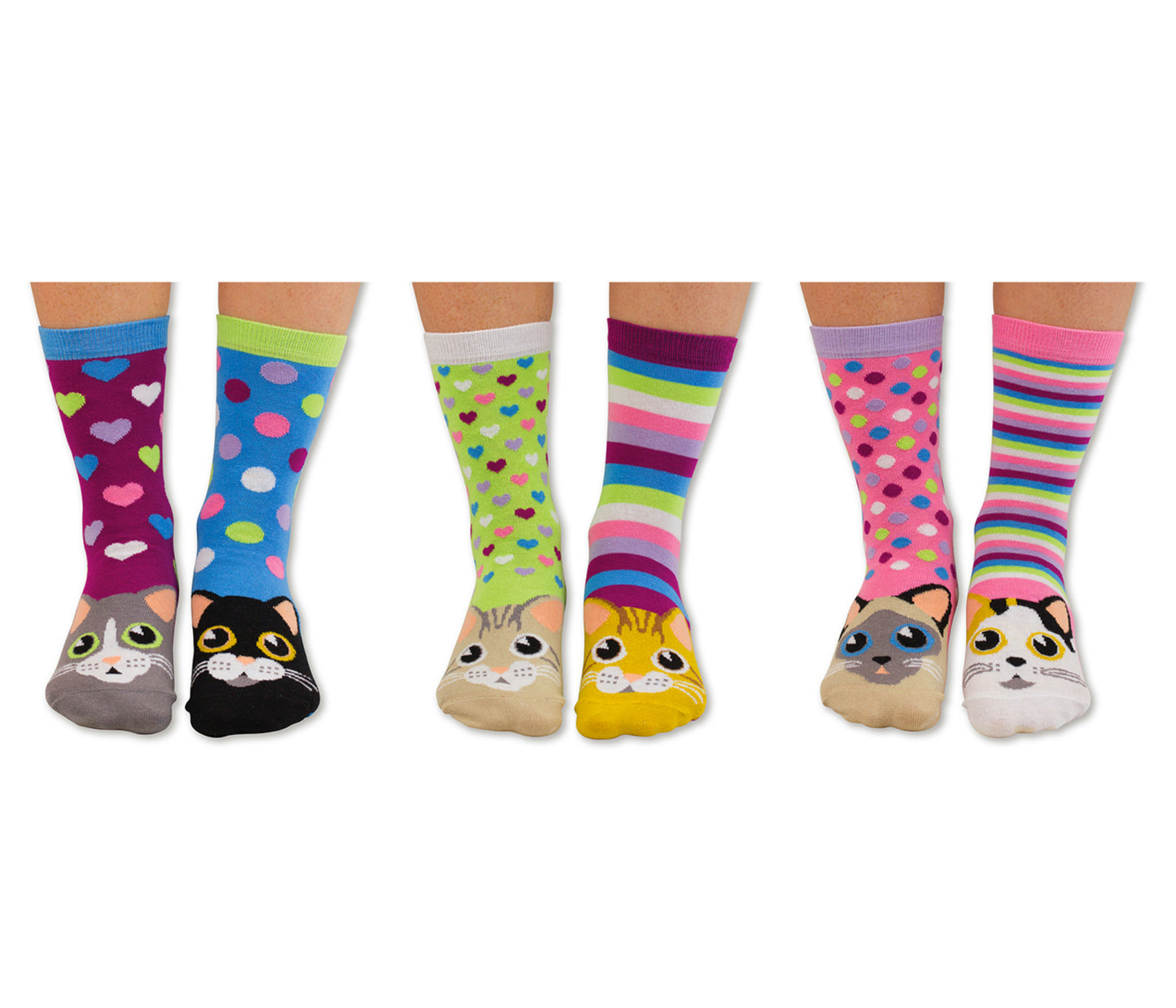 Catwalk Sock Gift Box