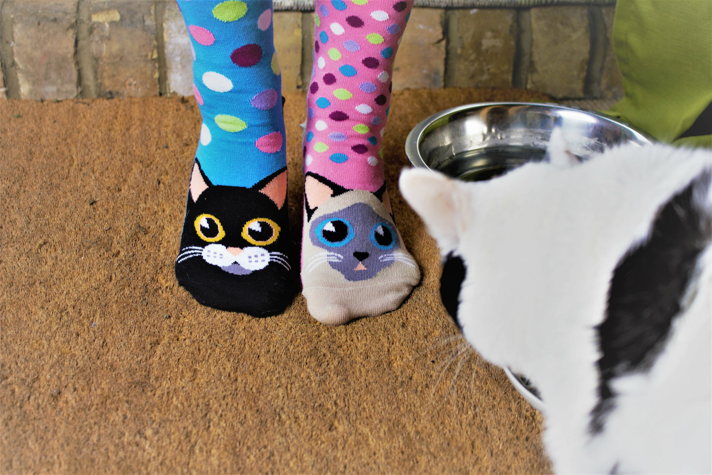 Catwalk Sock Gift Box