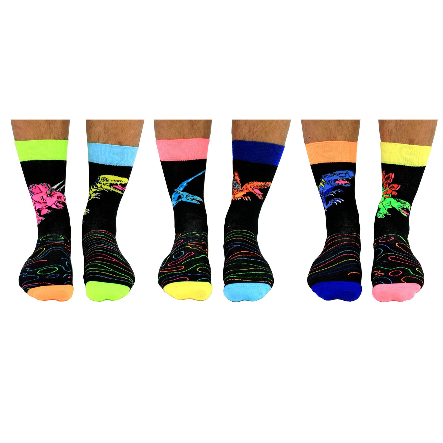 Dinosaur Sock Gift Box